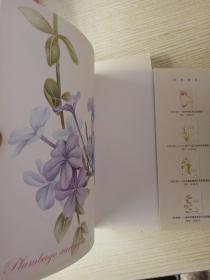 花之绘 ·38种花的色铅笔图绘·二十四节气花卉的色铅笔图绘· 38种花的自然之美·38种多肉植物的色铅笔图绘· 4本合集