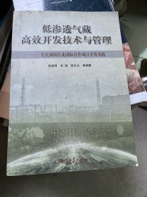 低渗透气藏高效开发技术与管理：长庆油田长北国际合作项目开发实践