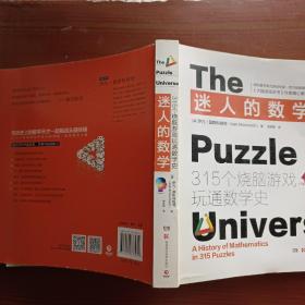 迷人的数学：315个烧脑游戏玩通数学史