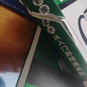 影像读片从入门到精通系列：CT读片指南（第2版）