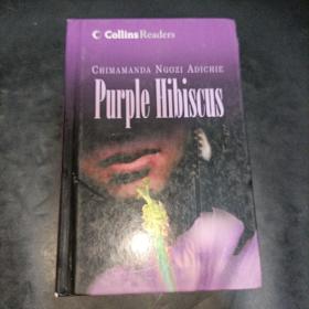 CollinsReaders-PurpleHibiscus（精装）英文