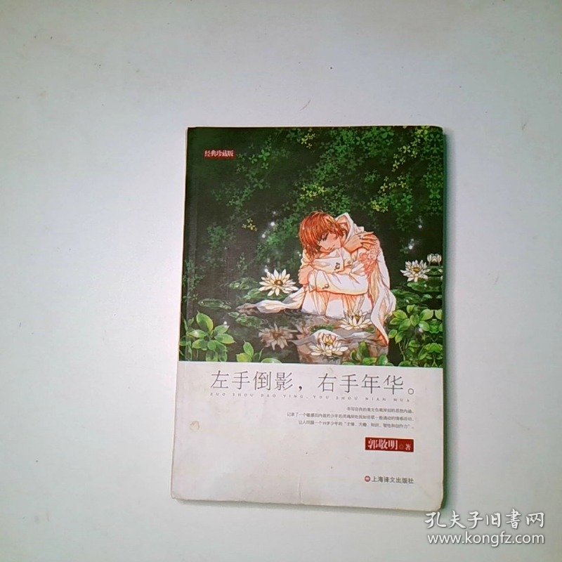 左手倒影 右手年华