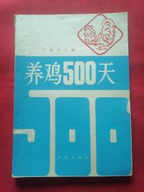 养鸡500天