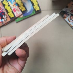 北京小学生连环画：尼尔斯骑鹅旅行记 （3.4.5）