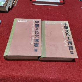 中国文化大博览 中下（两册合售）
