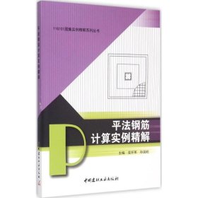 11G101图集实例精解系列丛书：平法钢筋计算实例精解