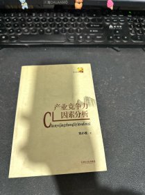 產(chǎn)業(yè)競(jìng)爭(zhēng)力因素分析
