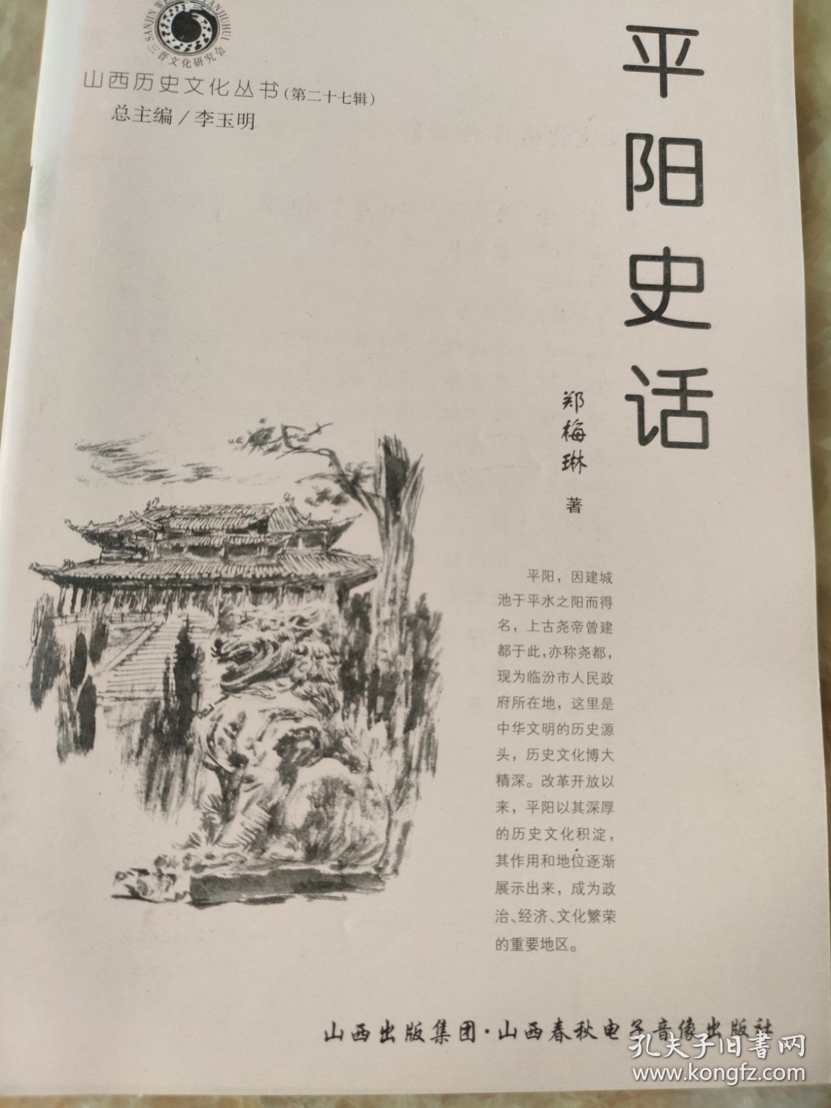 平阳史话。（山西历史文化丛书第二十七辑）