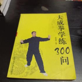 大成拳学练300问