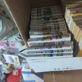 圣斗士星矢 1-28卷缺11