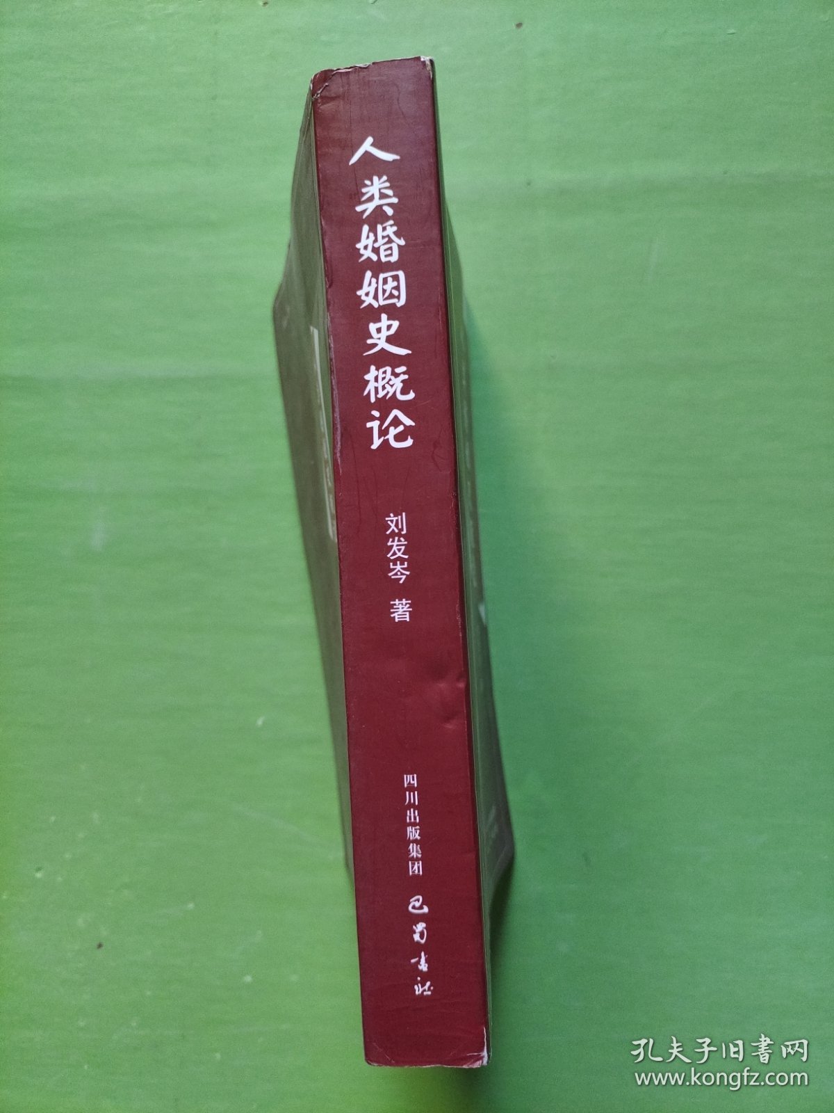人类婚姻史概论