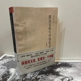 游民文化与中国社会（增修版）