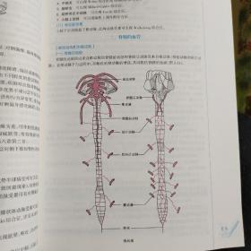 神经病学(第7版) 贾建平/本科临床/十二五普通高等教育本科国家级规划教材(内页新，无笔迹划线)