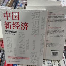 中国新经济创新与规则