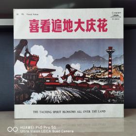 中唱版黑胶   黑胶  密纹唱片  喜看遍地大庆花
封套98品，碟面无痕99品