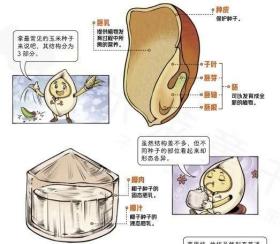 正版 超级工程驾到  全9册  小学生科普知识学习书 大国实力未来发展方向