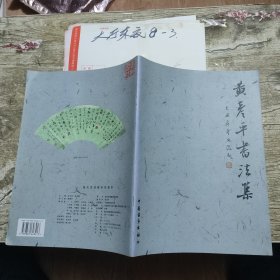 《黄彦平书法集》