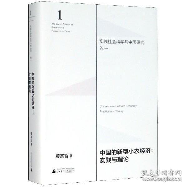 中国的新型小农经济：实践与理论（实践社会科学与中国研究·卷一）