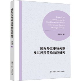 国际外汇市场关联及其风险传染效应研究