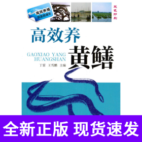 高效养黄鳝
