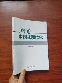 何为中国式现代化（任仲文 编）16开