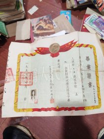 1959年安徽省安庆市大观亭小学毕业证书