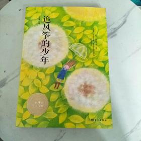 安武林主编第一套彩色儿童文学读本：追风筝的少年
