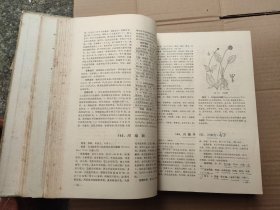 全国中草药汇编（上册）