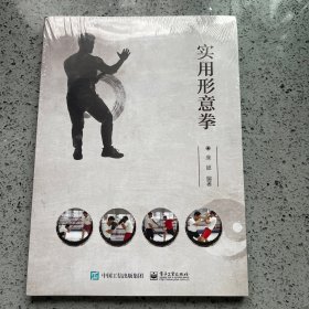 实用形意拳