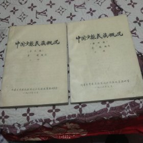 中国少数民族概况（修改稿）上下册