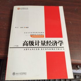 高级计量经济学（下册）