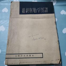 组织胚胎学图谱c245