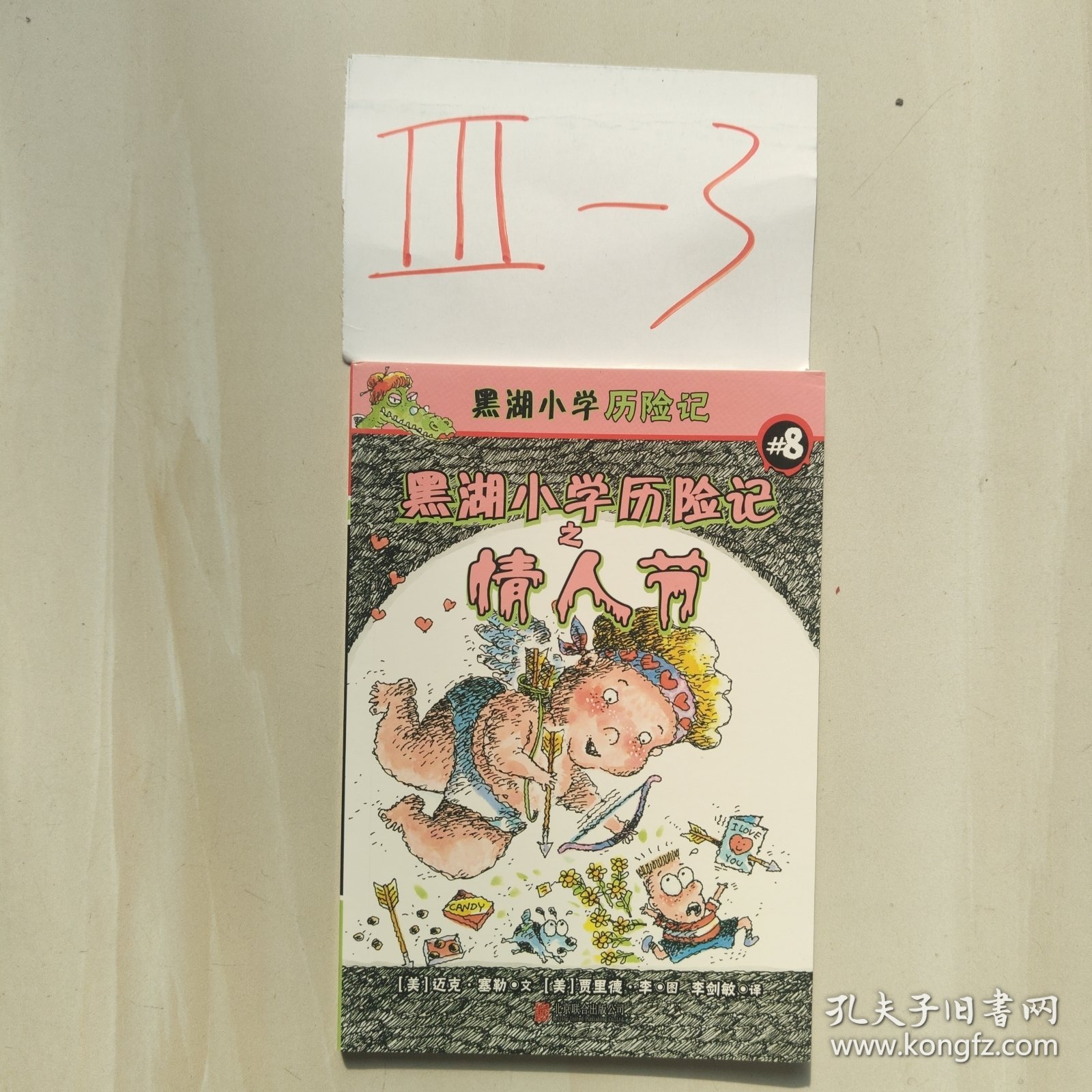 黑湖小学历险记 8