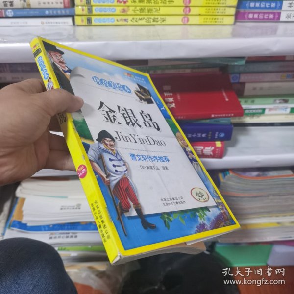 金银岛-成长文库 拼音美绘本 (中小学图书馆推荐图书）