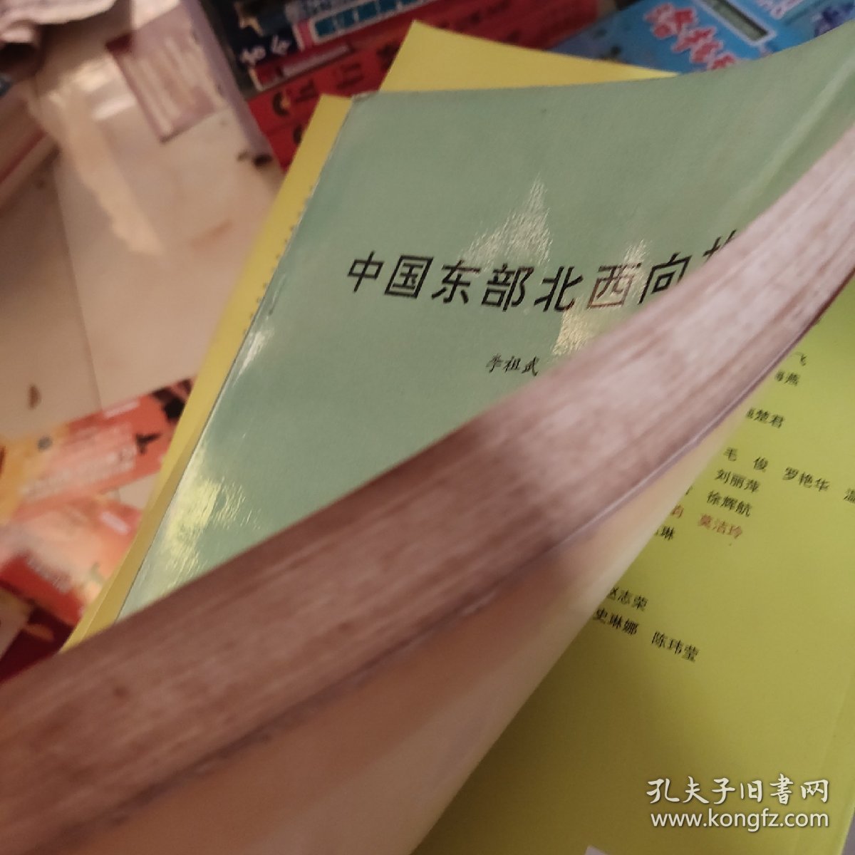 中国东部北西向构造【馆藏】