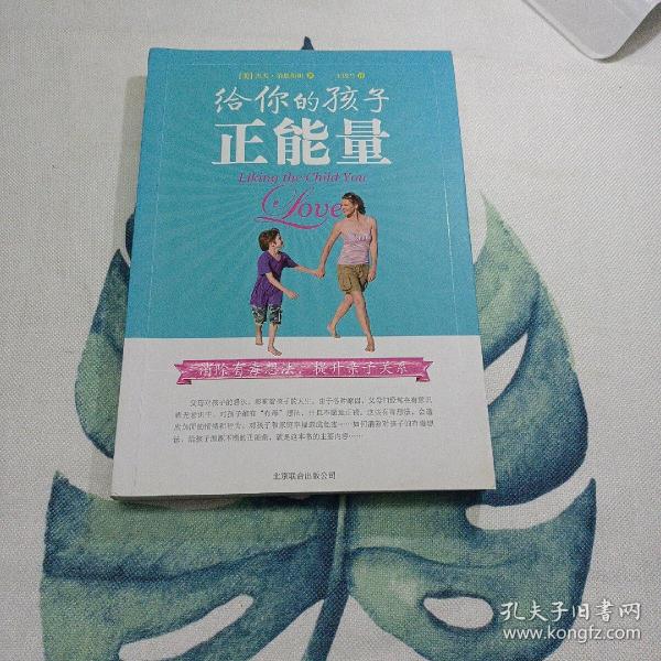 给你的孩子正能量：消除有毒想法，提升亲子关系