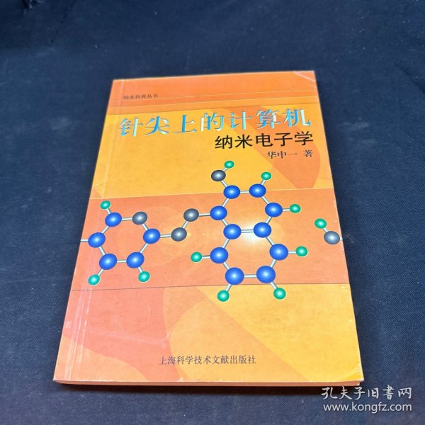 针尖上的计算机：纳米电子学