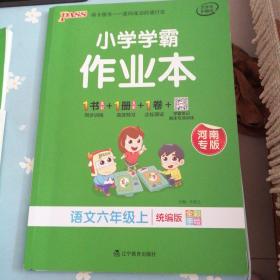 小学学霸六年级上册 小学学霸作业本河南专版、天天默写、同步写字课、冲A卷一份RJ、期末冲刺训练RJ版  一套5本