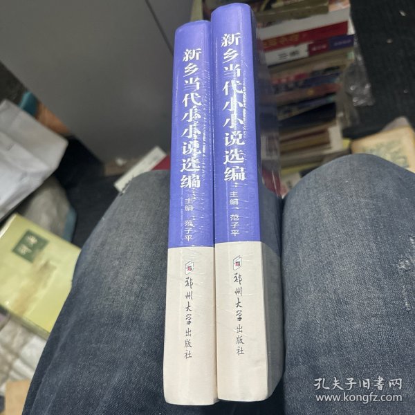 新乡当代小小说选编