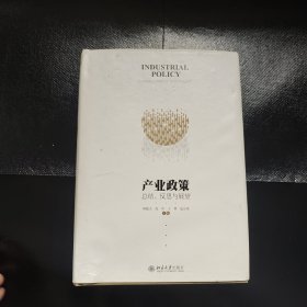 产业政策：总结、反思与展望