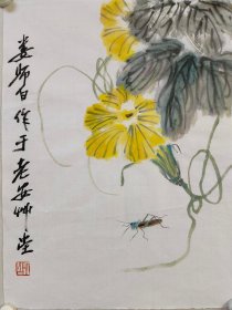 娄师白花卉草虫小品一幅，34厘米//45