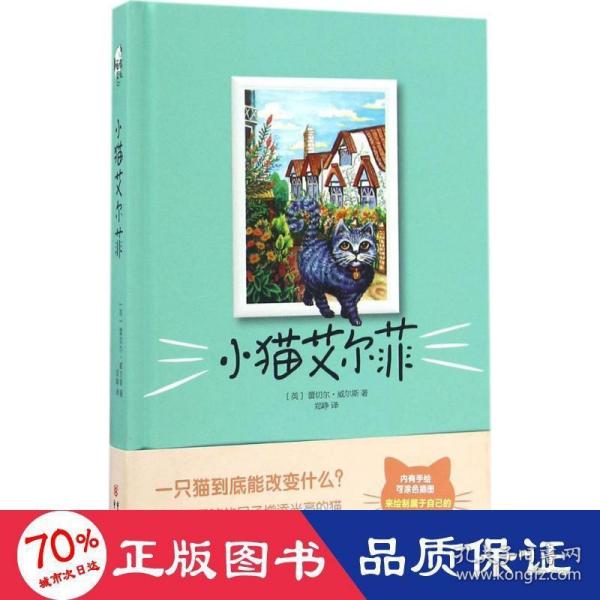 小猫艾尔菲