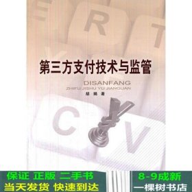 第三方支付技术与监督