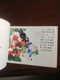 小花猪学艺（库存书）