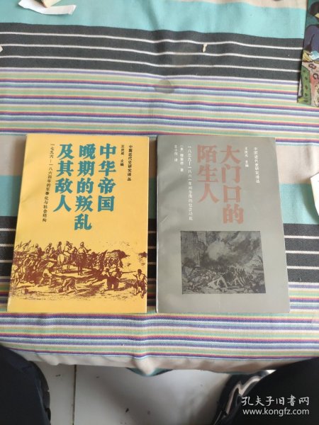 中华帝国晚期的叛乱及其敌人：1796-1864年的军事化与社会结构、大门口的陌生人