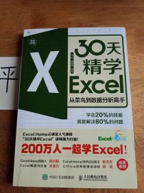 30天精学Excel从菜鸟到数据分析高手