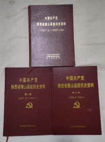 中国共产党陕西省横山县组织史资料（第一二三卷）