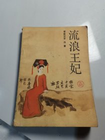 流浪王妃