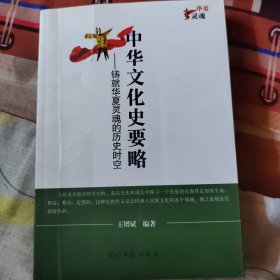 中华文化史要略 : 铸就华夏灵魂的历史时空