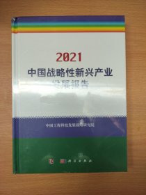 2021中国战略性新兴产业发展报告